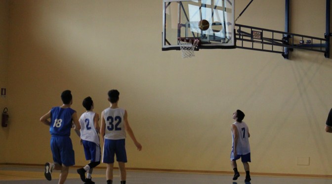 IL PUNTO SULLE SQUADRE DELLA FEBA CIVITANOVA MARCHE