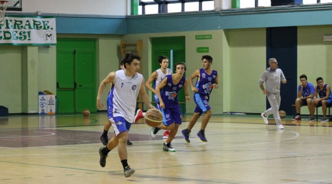 IL PUNTO SULLE SQUADRE DELLA FEBA CIVITANOVA MARCHE