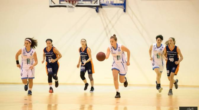 IL PUNTO SULLE SQUADRE DELLA FEBA CIVITANOVA MARCHE