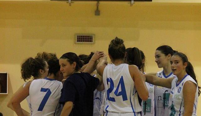 IL PUNTO SULLE SQUADRE DELLA FEBA CIVITANOVA MARCHE