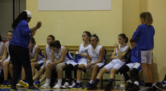 IL PUNTO SULLE SQUADRE DELLA FEBA CIVITANOVA MARCHE