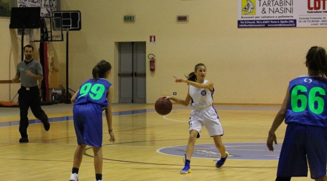 IL PUNTO SULLE SQUADRE DELLA FEBA CIVITANOVA MARCHE