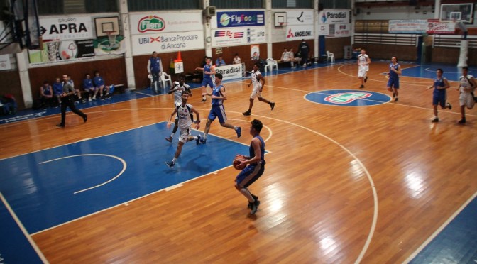 IL PUNTO SULLE SQUADRE DELLA FEBA CIVITANOVA MARCHE